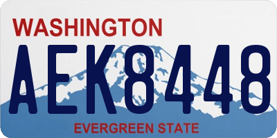WA license plate AEK8448