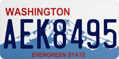 WA license plate AEK8495