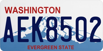 WA license plate AEK8502