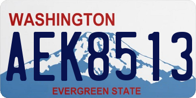 WA license plate AEK8513