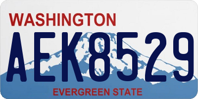 WA license plate AEK8529