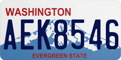 WA license plate AEK8546