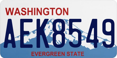 WA license plate AEK8549