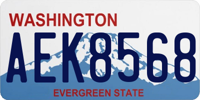 WA license plate AEK8568