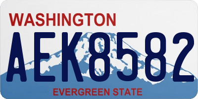WA license plate AEK8582