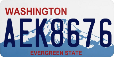 WA license plate AEK8676