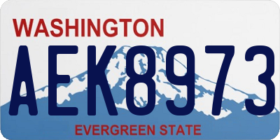 WA license plate AEK8973