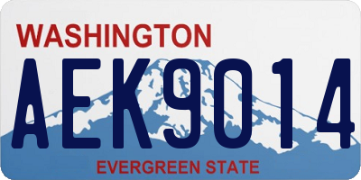 WA license plate AEK9014