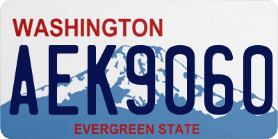 WA license plate AEK9060