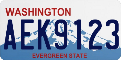 WA license plate AEK9123