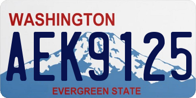 WA license plate AEK9125