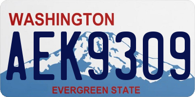 WA license plate AEK9309