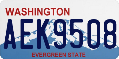 WA license plate AEK9508