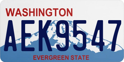 WA license plate AEK9547