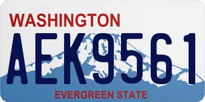 WA license plate AEK9561