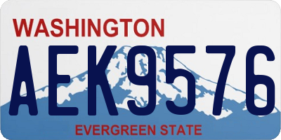 WA license plate AEK9576