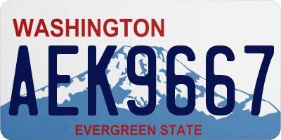 WA license plate AEK9667