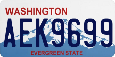 WA license plate AEK9699