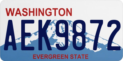 WA license plate AEK9872