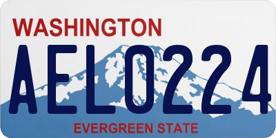 WA license plate AEL0224