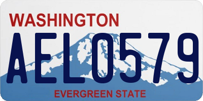 WA license plate AEL0579