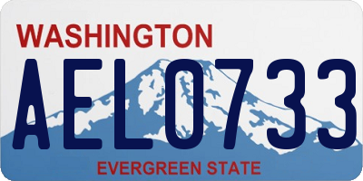WA license plate AEL0733