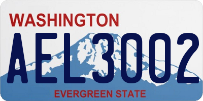 WA license plate AEL3002