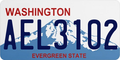 WA license plate AEL3102