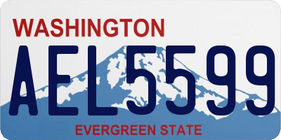 WA license plate AEL5599
