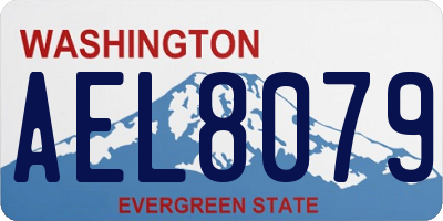 WA license plate AEL8079