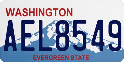 WA license plate AEL8549