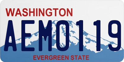 WA license plate AEM0119