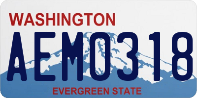 WA license plate AEM0318