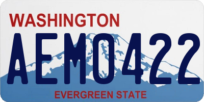 WA license plate AEM0422