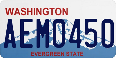 WA license plate AEM0450