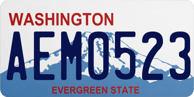 WA license plate AEM0523