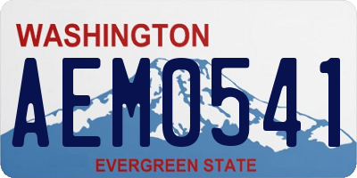 WA license plate AEM0541