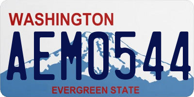 WA license plate AEM0544
