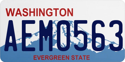 WA license plate AEM0563