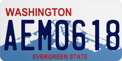 WA license plate AEM0618