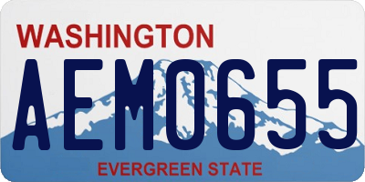 WA license plate AEM0655