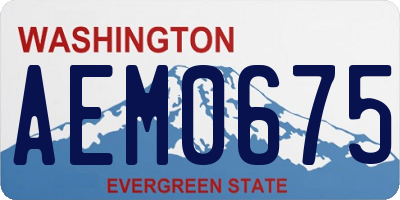 WA license plate AEM0675