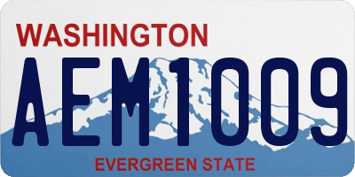 WA license plate AEM1009