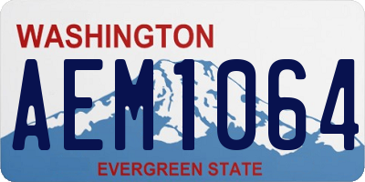 WA license plate AEM1064