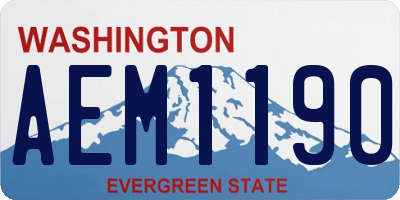 WA license plate AEM1190