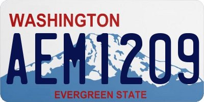 WA license plate AEM1209