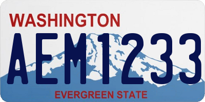 WA license plate AEM1233