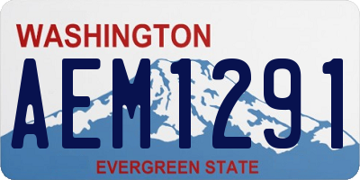 WA license plate AEM1291