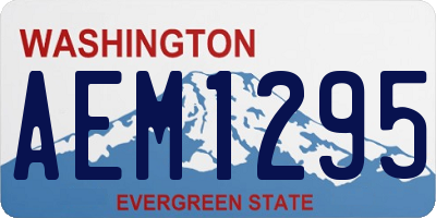WA license plate AEM1295