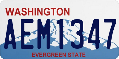 WA license plate AEM1347